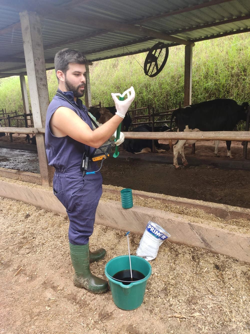 Consultor com luvas preparando aplicador ao lado de balde com solução, em curral com vacas ao fundo.