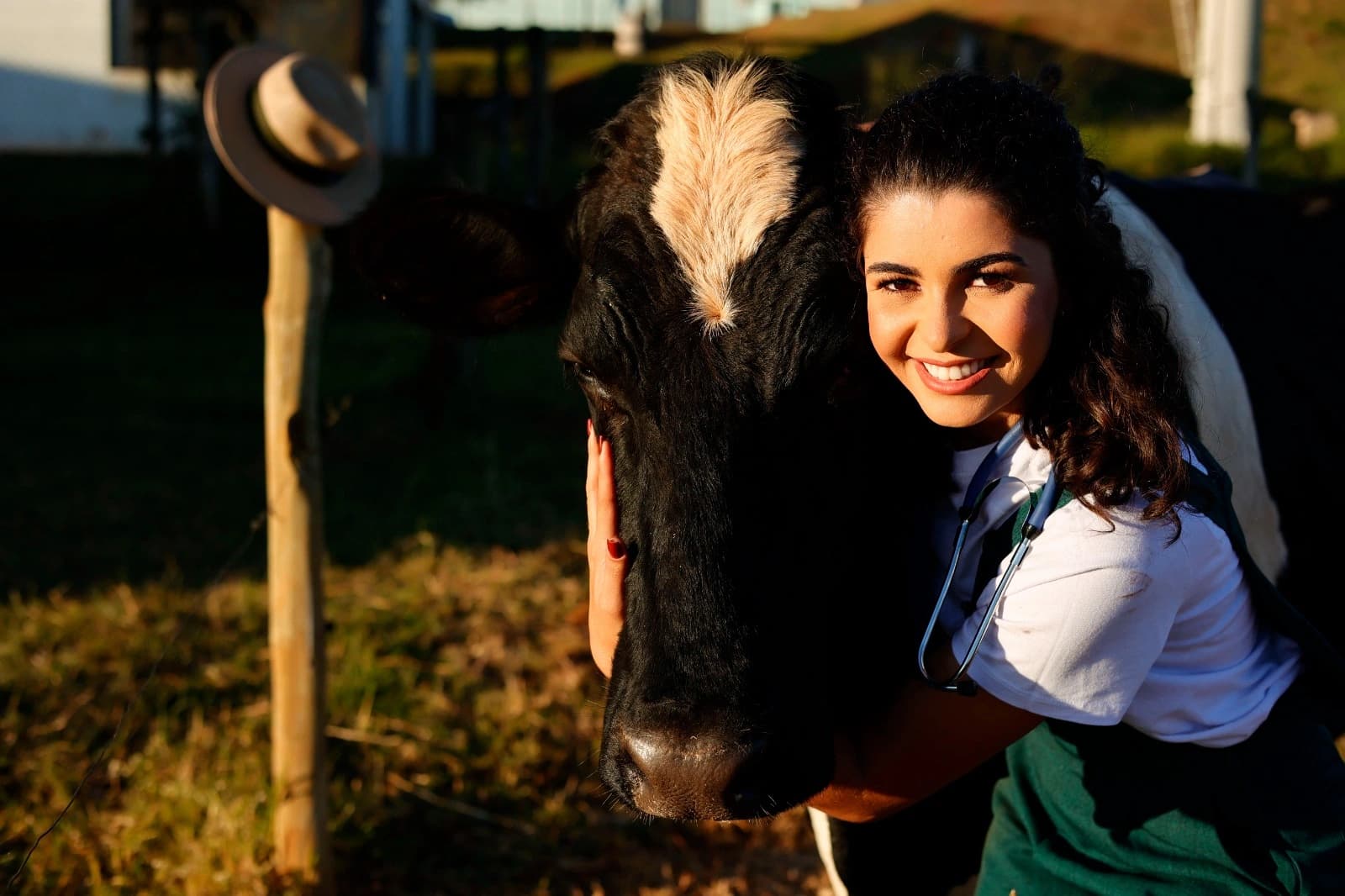 Consultora com estetoscópio ao lado de uma vaca leiteira em uma propriedade rural, ao entardecer.
